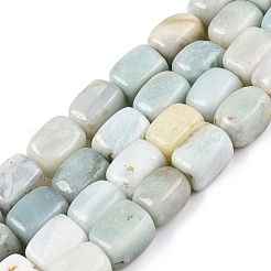 Natural Flower Amazonite Beads Strands&nbsp;G-T138-89