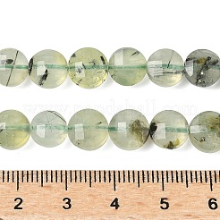 Natural Prehnite Beads Strands&nbsp;G-C179-A51-03