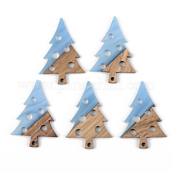 Resin & Walnut Wood Pendants&nbsp;RESI-S389-030A
