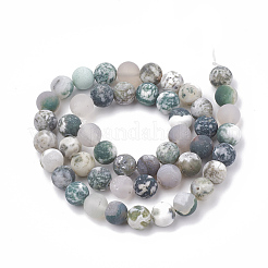 Natural Tree Agate Beads Strands&nbsp;G-T106-037