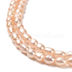 Natural Cultured Freshwater Pearl Beads Strands&nbsp;PEAR-E016-127
