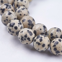 Natural Dalmatian Jasper Stone Bead Strands&nbsp;G-R193-14-10mm