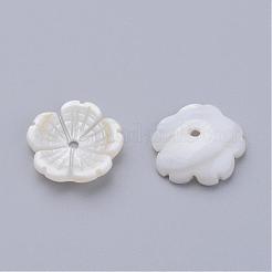 Natural Freshwater Shell Beads&nbsp;SHEL-Q007-09