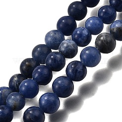 Natural Sodalite Round Bead Strands&nbsp;G-P072-27-4mm