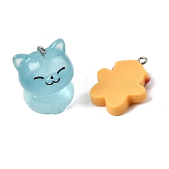 Resin Pendants&nbsp;RESI-XCP0002-23