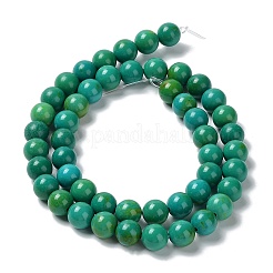 Natural Howlite Beads Strands&nbsp;G-E604-B05-B