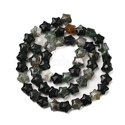 Natural Moss Agate Beads Strands&nbsp;G-Z080-A25-8mm