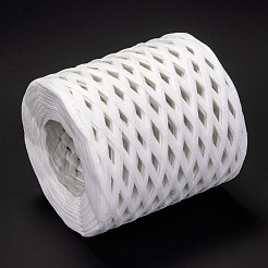 Raffia Ribbon&nbsp;OCOR-I012-A24
