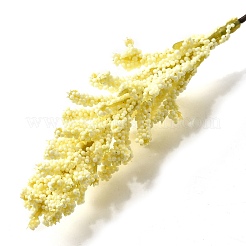 6pcs Lavender Plastic Simulation Artificial Flower&nbsp;PW-WG14912-01