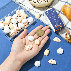 48Pcs 3 Styles Opaque Resin Pendants&nbsp;CRES-SC0003-10