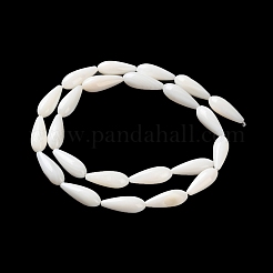 天然淡水シェルビーズ連売り  ティアドロップ  フローラルホワイト  17~18x6.5~7mm  穴：1mm  約23個/連  15.59''（39.6センチメートル）&nbsp;SSHEL-B002-16
