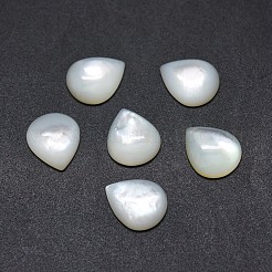 Shell Cabochons&nbsp;SSHEL-E567-24E