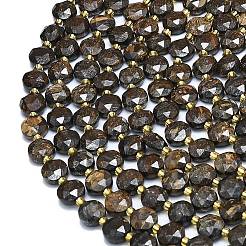 Natural Bronzite Beads Strands&nbsp;G-C116-A75-02