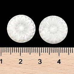 Natural Black Lip Shell Carved Cabochons&nbsp;SSHEL-I026-17A