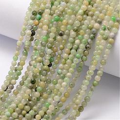 Natural Chinese Jade Bead Strands&nbsp;G-K146-31-3mm