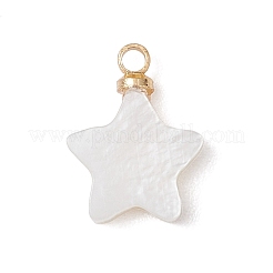 Natural Freshwater Charms&nbsp;PALLOY-JF04870