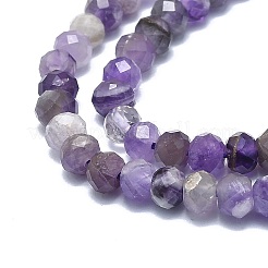 Natural Amethyst Beads Strands&nbsp;G-F715-085