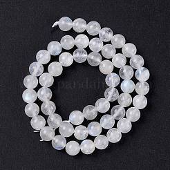 Natural Rainbow Moonstone Beads Strands&nbsp;G-I249-B04-05
