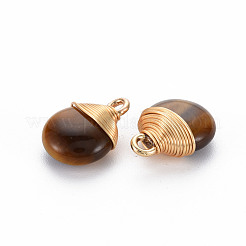Natural Tiger Eye Pendants&nbsp;G-S359-288B
