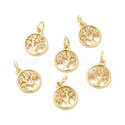 Brass Charms&nbsp;KK-Q403-01G