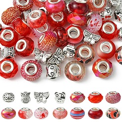 DIY Tibetan Style Alloy & Resin European Beads Making Finding Kits&nbsp;DIY-FS0006-78E