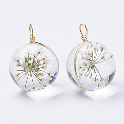 ガラスチャーム  中にドライフラワーあり＆真鍮パーツ  ラウンド  ゴールドカラー  ベージュ  19x14mm  穴：2mm&nbsp;GLAA-Q070-002B-01