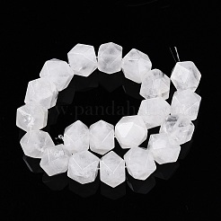 Natural Quartz Crystal Beads Strands&nbsp;G-T138-43