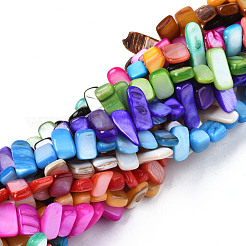 Natural Trochid Shell/Trochus Shell Beads Strands&nbsp;SHEL-S258-082