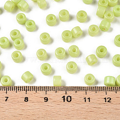 Opaque Baking Paint Glass Seed Beads&nbsp;SEED-T008-02L