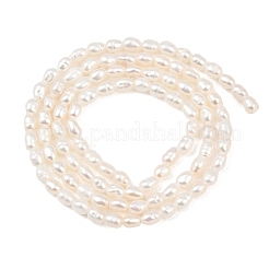 天然養殖淡水パールビーズ連売り  ライス  グレード3a+  トウモロコシの穂の黄色  2.5~3.3mm  穴：0.4mm  約95~102個/連  14.17~14.37''（36~36.5センチメートル）&nbsp;PEAR-F020-13