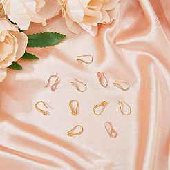 10 Pairs 2 Colors Rack Plating Brass Earring Hooks&nbsp;EJEW-FH0001-05
