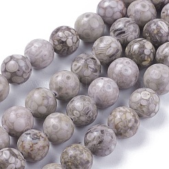 Natural Maifanite/Maifan Stone Beads Strands&nbsp;G-F353-4mm