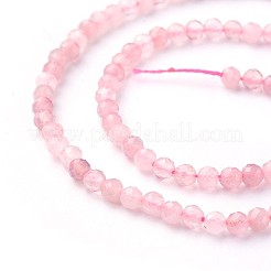 Natural Rose Quartz Beads Strands&nbsp;G-F619-23-2mm