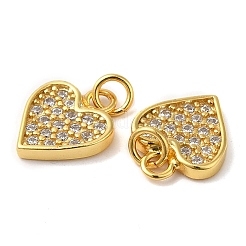 925 Sterling Silver Micro Pave Cubic Zirconia Charms&nbsp;STER-I010-41G