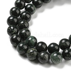 Natural Serpentine Beads Strands&nbsp;G-P504-6mm-01
