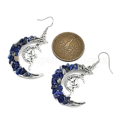 Natural Mixed Gemstone Chips Dangle Earrings&nbsp;EJEW-JE06174