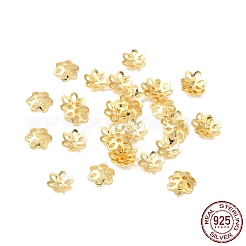 925スターリングシルバービーズキャップ  6花びら  花  18KGP本金メッキ  4.5x5x1.3mm  穴：0.8mm  約255個/10g&nbsp;STER-F055-10G
