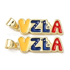 Brass Enamel Pendants&nbsp;KK-L262-06G