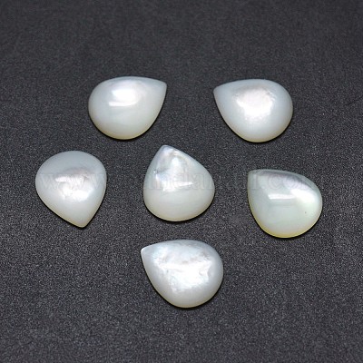 Shell Cabochons&nbsp;SSHEL-E567-24E-1