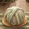 Cashmere Segment Dyed Yarn, for Weaving, Knitting & Crochet, Yellow Green, 2mm, about 131.23 Yards(120m)/Skein