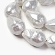 Shell Pearl Beads Strands&nbsp;BSHE-F013-13-2