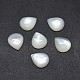 Shell Cabochons&nbsp;SSHEL-E567-24E-2