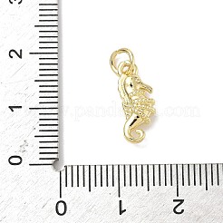 Brass Micro Pave Cubic Zirconia Charms&nbsp;ZIRC-I356-13G-03