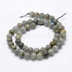 Natural Labradorite Beads Strands&nbsp;G-P322-29-8mm