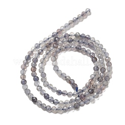 Natural Cordierite/Iolite/Dichroite Beads Strands&nbsp;G-B145-A04-3mm