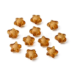 透明なアクリルビーズ  二層ビーズ  スター  ペルー  12x11x8mm  穴：2mm  約1200個/500g&nbsp;TACR-S091-12mm-20