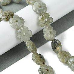 天然石ラブラドライトビーズ連売り  花  14x14x5.5mm  穴：1.2mm  約29個/連  14.80''（37.6センチメートル）&nbsp;G-H023-B19-01