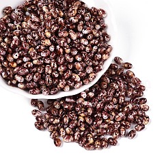 Spray Painted Glass Seed Beads&nbsp;SEED-T007-14D