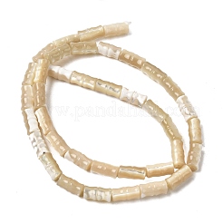 天然トロチッドシェル/トロカスシェルビーズ連売り  竹の棒  小麦  9.5~10.5x5~5.5mm  穴：0.5~0.6mm  約38~39個/連  15.08~15.43''（38.3~39.2センチメートル）&nbsp;SHEL-A006-06B
