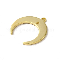 Brass Pendants&nbsp;KK-P259-42G